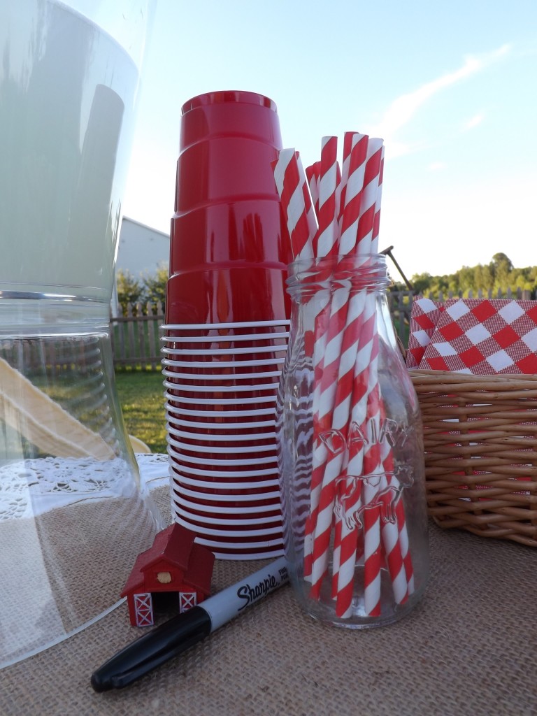 Red Solo Cups & Paper Straws